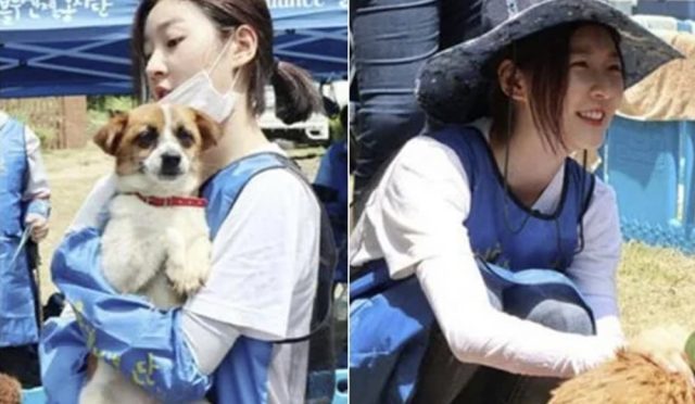 Merhum Kim Sae Ron, sert eleştirilere rağmen terkedilmiş hayvanlara olan sevgisini göstermeye devam etti