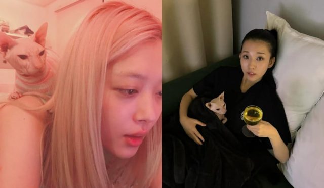 Kim Sun Ah, merhum Sulli’nin kedisiyle fotoğraflar paylaştı