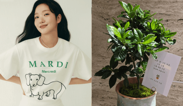 Kim Go Eun’dan Ebeveynler Günü’nde Ajans Çalışanlarına ve Ailelerine Anlamlı Hediye